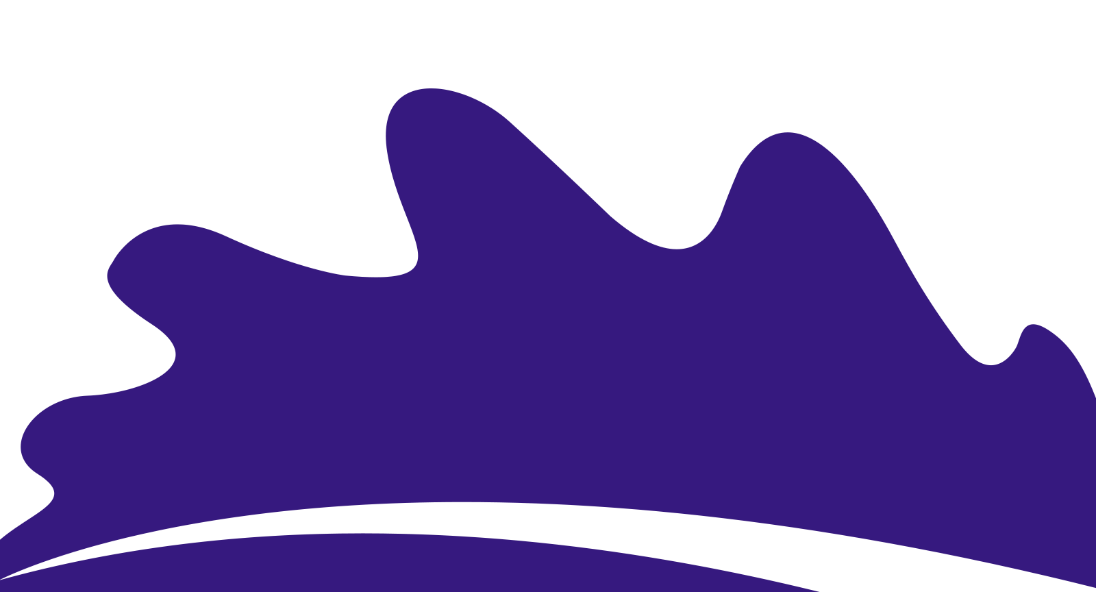 Web漏洞扫描工具